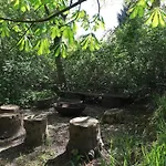 בית נופש 4 Person In Ulfborg